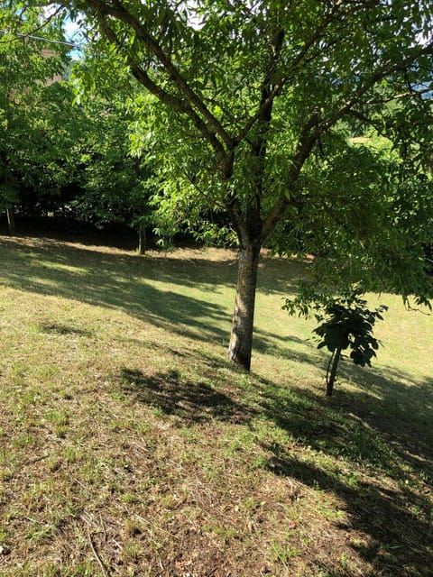 Capannina Vesale House in Emilia-Romagna