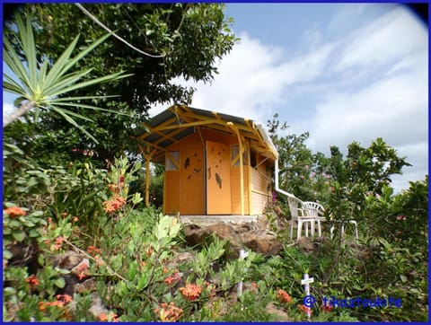 Garden, Bedroom
