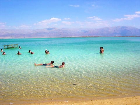 People, Natural landscape, Beach, group of guests