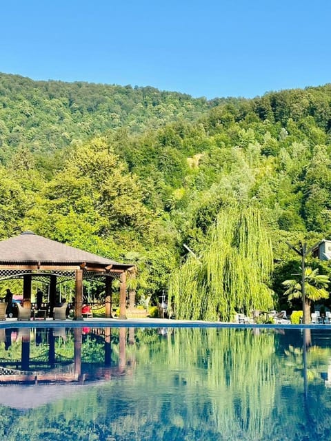 Mountain view, Pool view