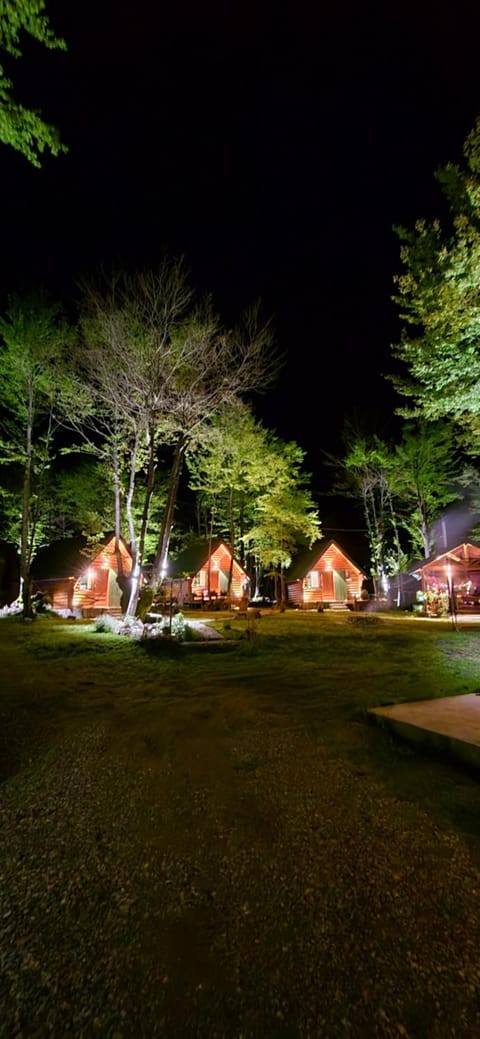 Night, Natural landscape, Garden, Garden view