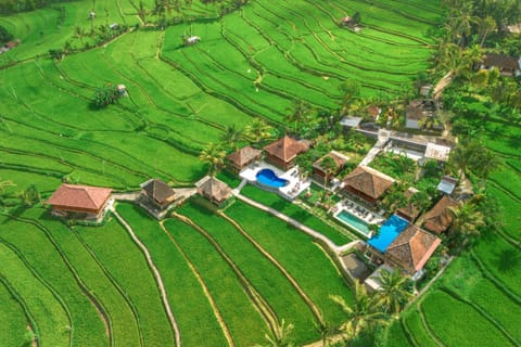Natural landscape