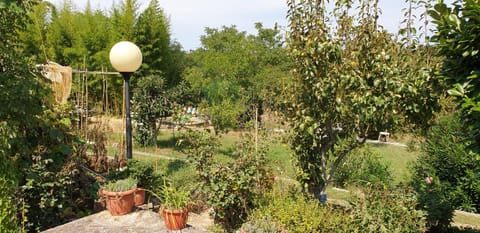 Garden, View (from property/room)