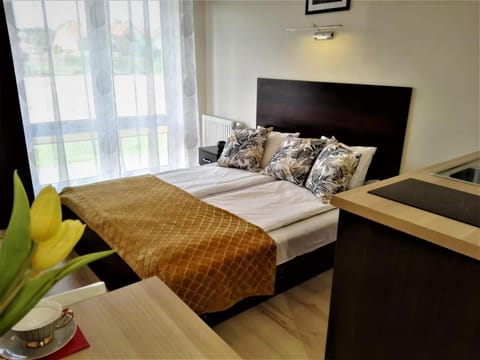 Villa Laguna Vacation rental in Pomeranian Voivodeship