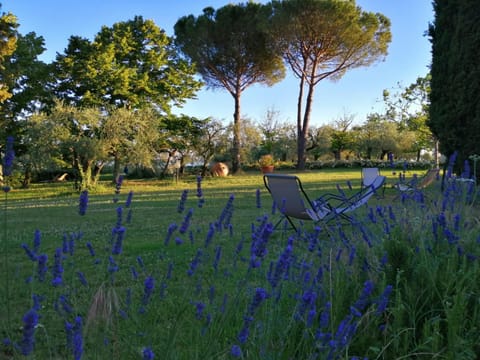 Day, Natural landscape, Garden, Garden view