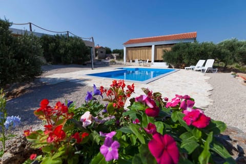 Summer, Place of worship, Seating area, Swimming pool, Swimming pool