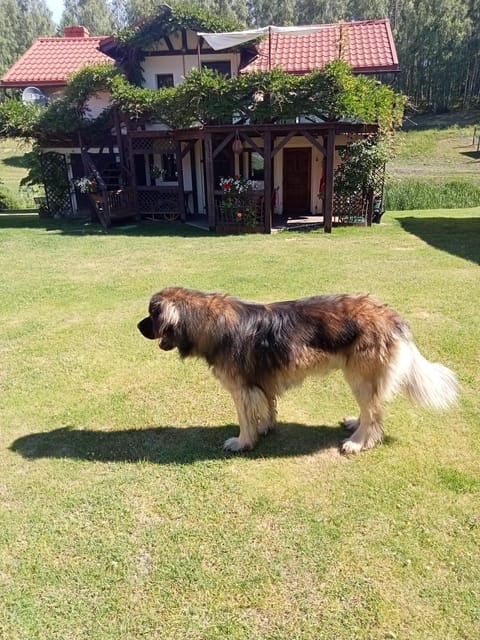 Agroturystyka Dolinka Country House in West Pomeranian Voivodeship, Poland