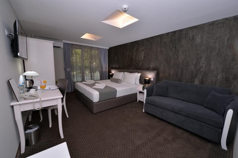 Other, Photo of the whole room