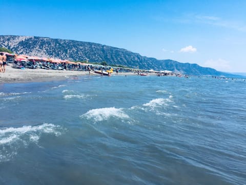 Day, Summer, Fishing, Beach, Canoeing, children, Family