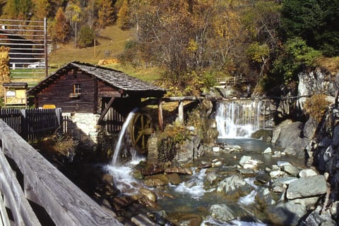 Nearby landmark, Neighbourhood