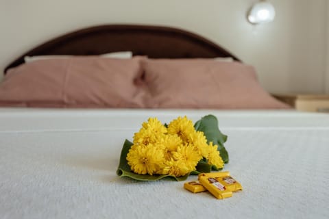 Apartmani Vico Bed and Breakfast in Dubrovnik-Neretva County