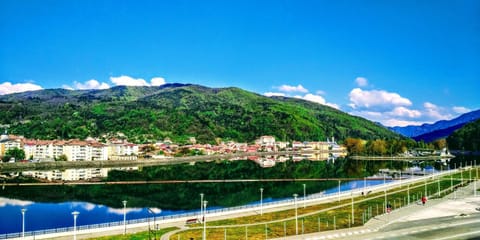 Natural landscape, Mountain view, River view