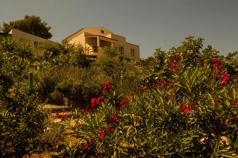 Property building, Garden