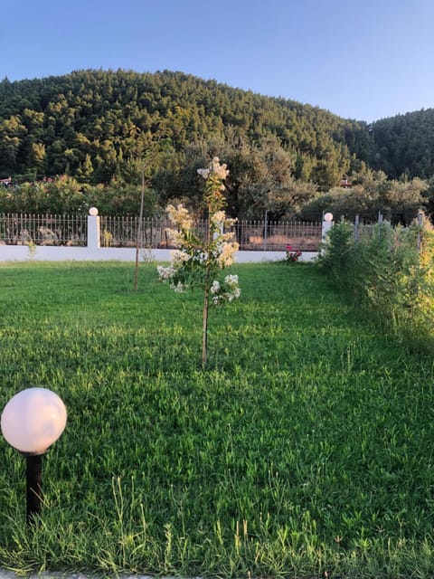 Spring, Garden, Mountain view