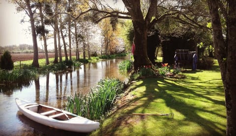 Natural landscape, Garden, Garden view, River view