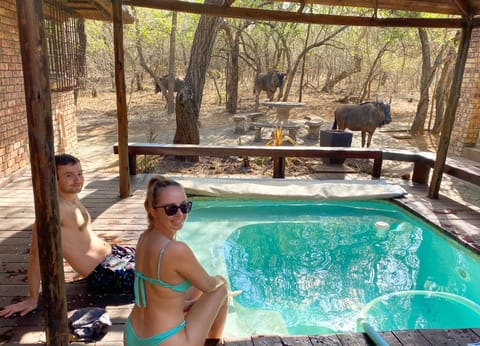 Natural landscape, Animals, Pool view, Swimming pool, group of guests