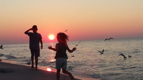 People, Beach, Sunset