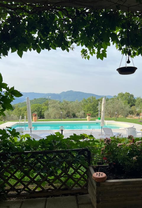 The Forest House Bed and Breakfast in Molise, Italy