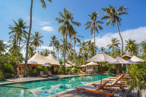 Garden view, Pool view, Swimming pool, sunbed