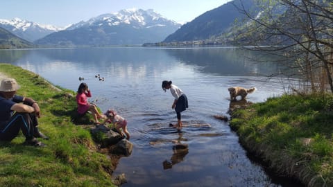 Spring, Natural landscape, Snorkeling, Lake view, Mountain view