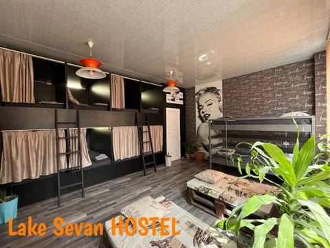 Bed, Photo of the whole room, Bedroom, bunk bed