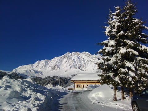 Winter, Mountain view