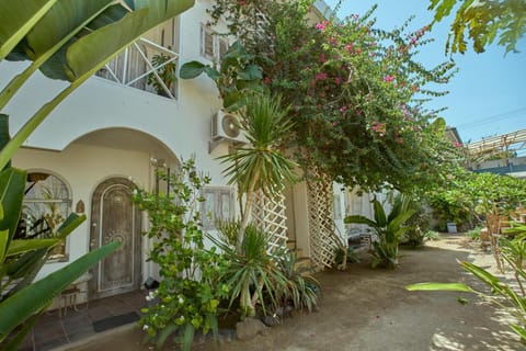 Property building, Natural landscape, Garden, Garden view