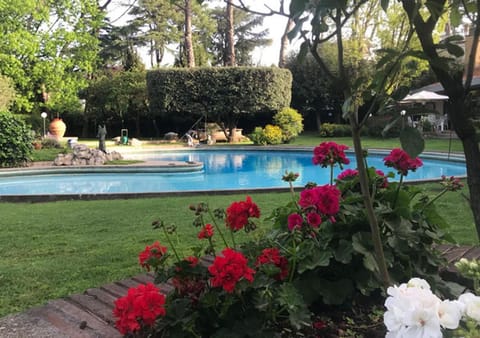 Garden, Swimming pool