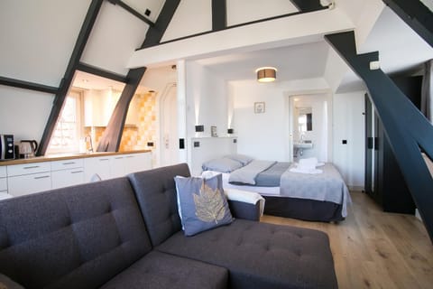 Bed, Kitchen or kitchenette, Living room, Photo of the whole room, Seating area, Bedroom