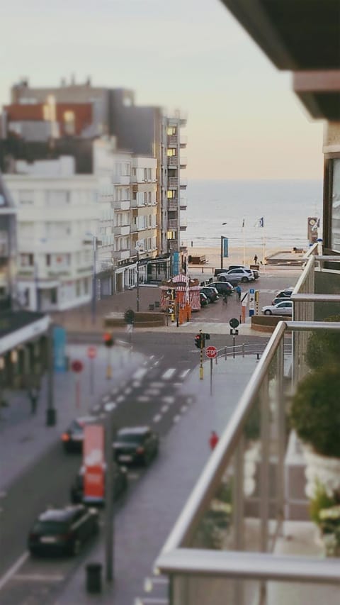 Neighbourhood, Beach, Supermarket/grocery shop, Shopping Area
