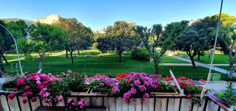 Garden view