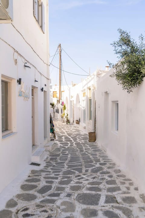 Afluencia Complex Studio No 4,5,6 Apartment in Naousa