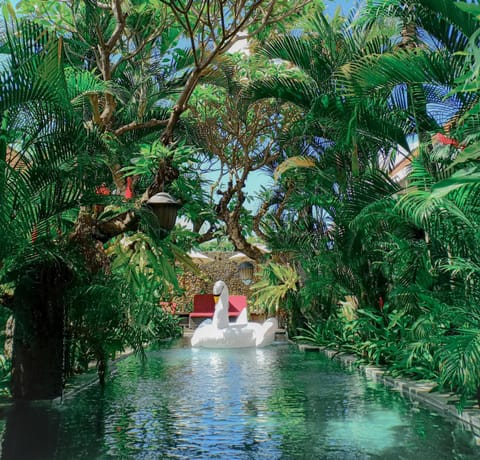 Garden, Garden view, Swimming pool