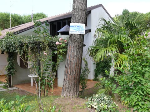 Garden, Inner courtyard view