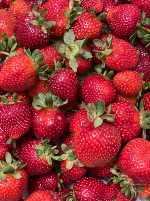 B&B Li Tauli Bed and Breakfast in Sardinia