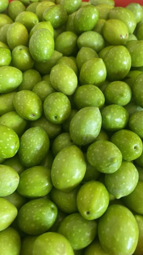 B&B Li Tauli Bed and Breakfast in Sardinia