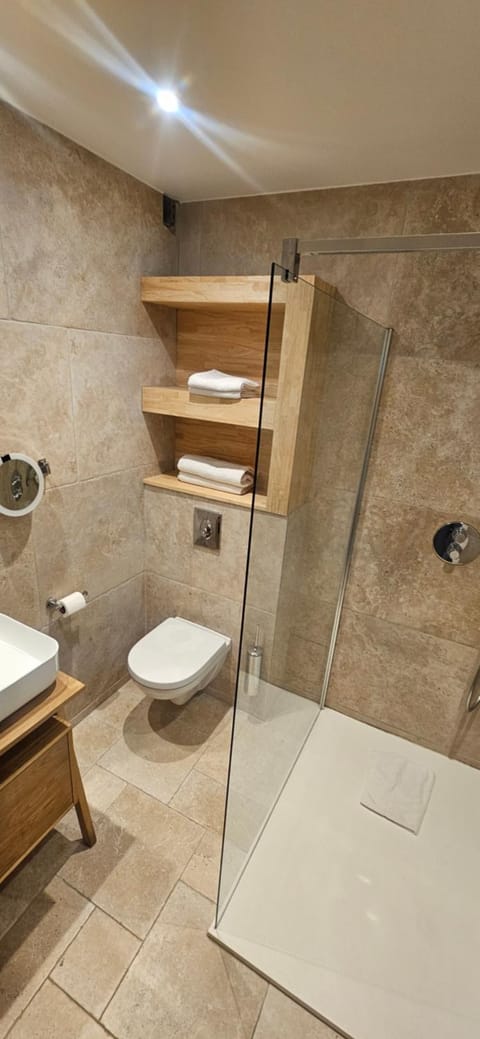 Shower, Toilet, Bathroom, towels