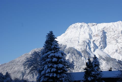 Ferienwohnung Parth Apartment in Tyrol
