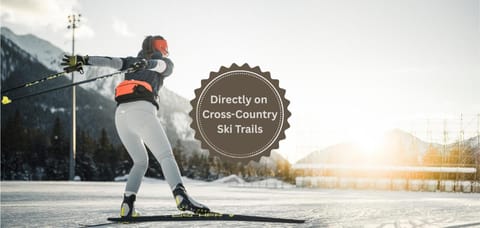 Winter, Skiing, Skiing, Sports, Sports