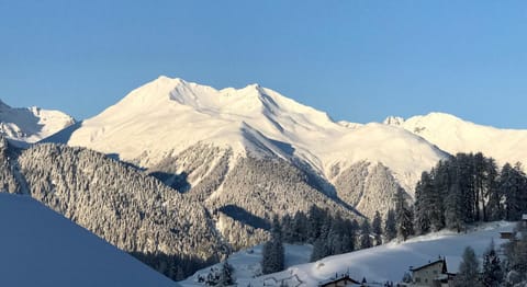 Chasa Furtüna Apartment in Canton of Grisons