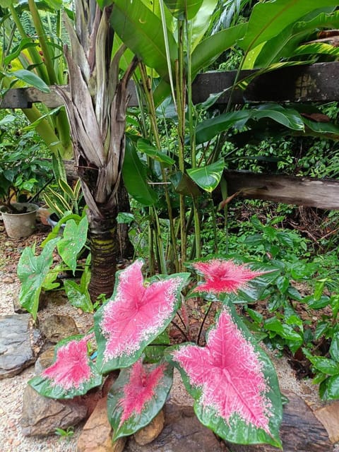 Dahla Lanta Hut Vacation rental in Krabi Changwat