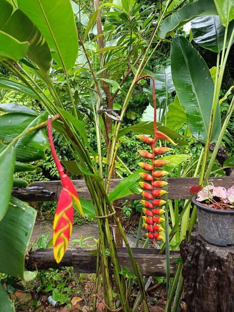 Dahla Lanta Hut Vacation rental in Krabi Changwat