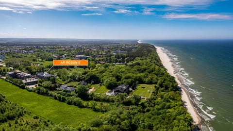 Off site, Bird's eye view, Location