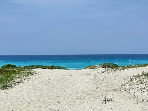 Natural landscape, Beach