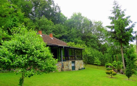 Property building, Garden view