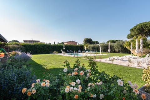 Day, Garden, Pool view, Swimming pool