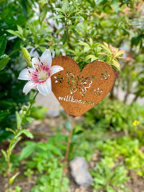 Ferienwohnung-Birlenbach Apartment in Limburg