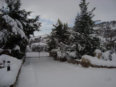Facade/entrance, Winter, Garden