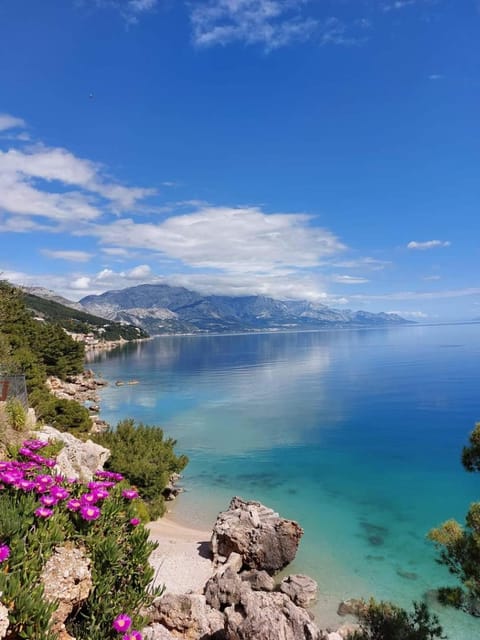 Beach, Sea view