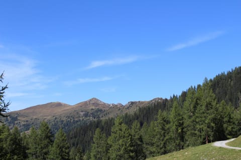 Draugstein - Hütte Nature lodge in Salzburgerland